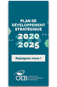 Plan d développement stratégique OEB