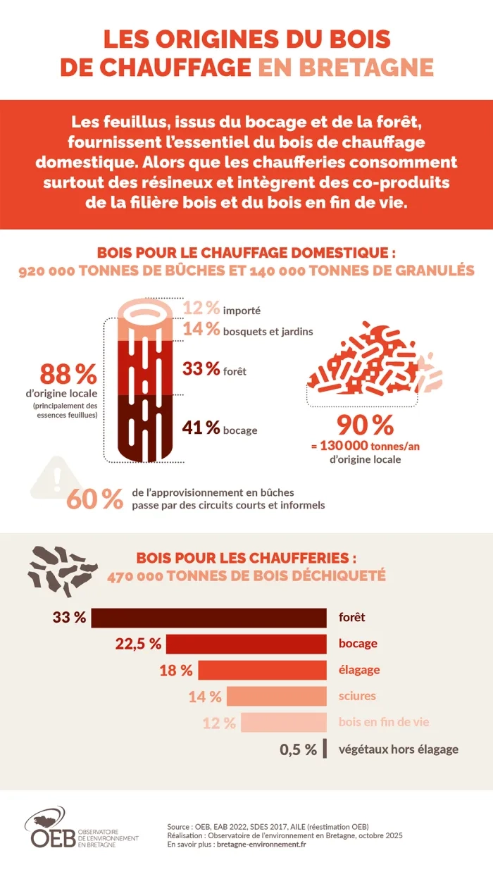 Infographie Les origines du bois de chauffage en Bretagne