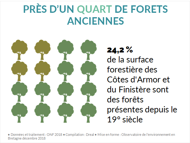 Continuité temporelle des forêts en Bretagne
