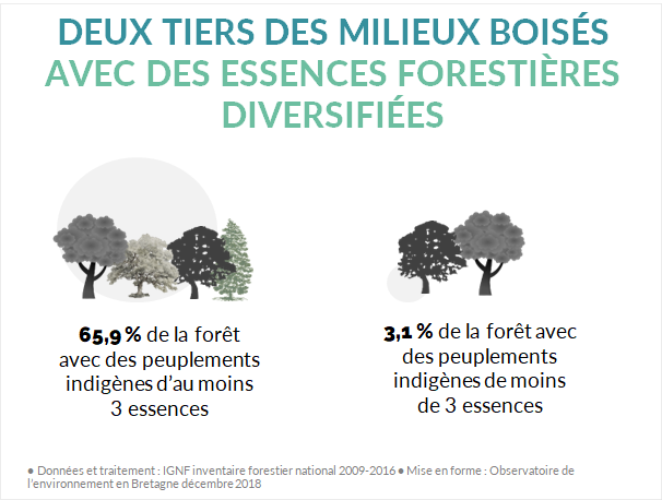 Diversité des essences forestières en Bretagne