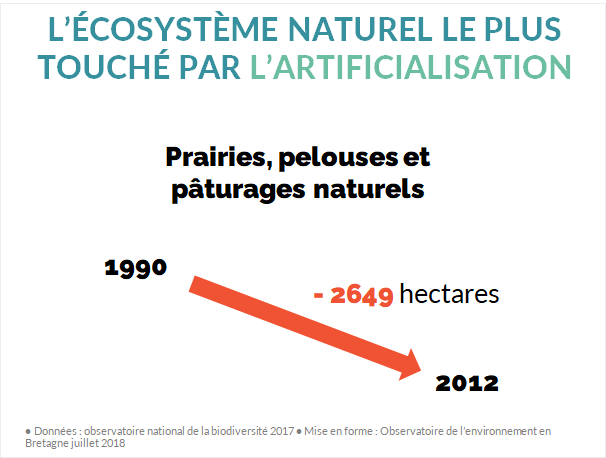 Disparition écosystèmes peu anthropisés en Bretagne
