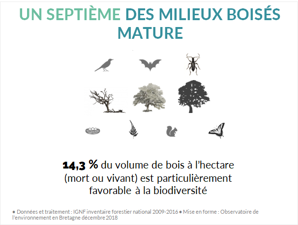 Maturité des milieux boisés en Bretagne