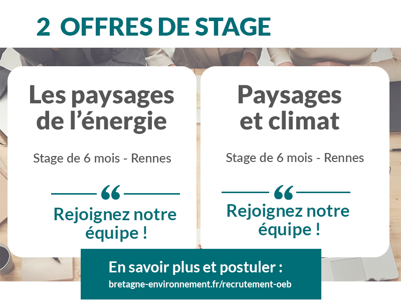 image 2 stages paysage