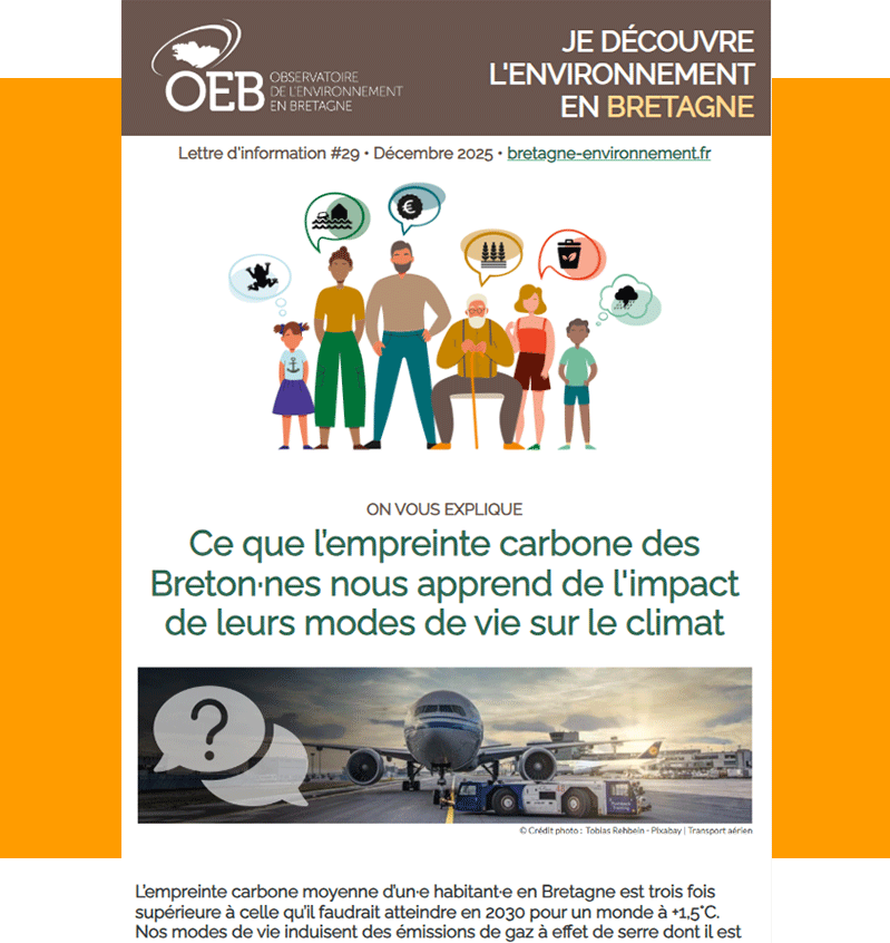 Lettre d'information #29 • Décembre 2025