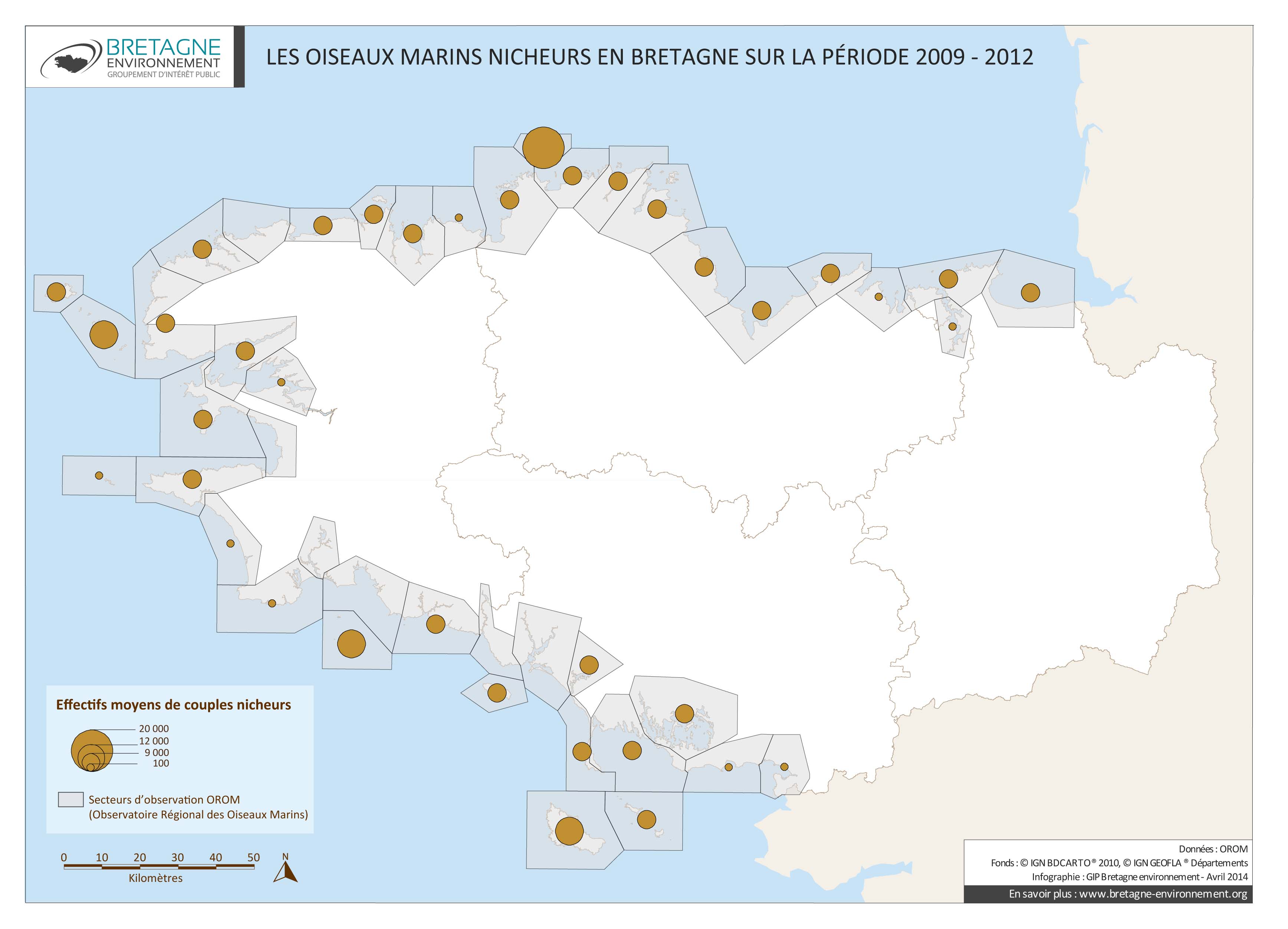 Les oiseaux marins nicheurs en Bretagne sur la période 2009 - 2012