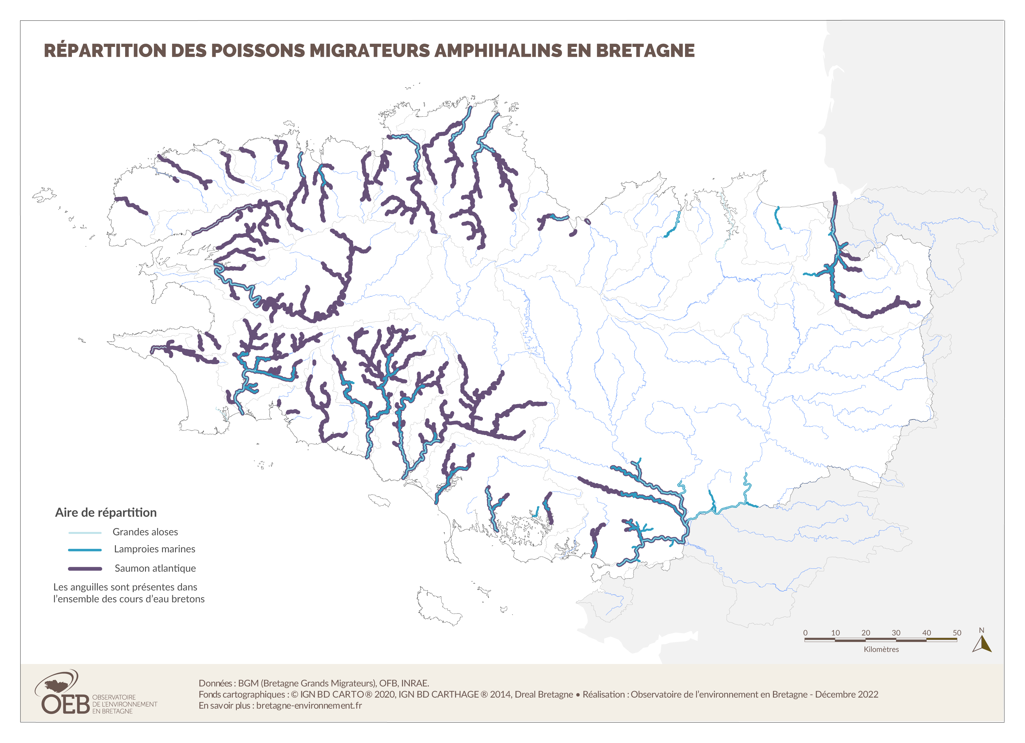Répartition des poissons migrateurs amphihalins en Bretagne