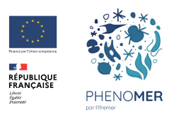 logo Phenomer