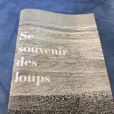 Fanzine constitué de photos et de textes