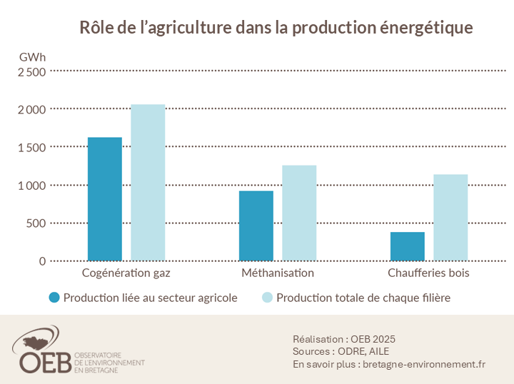 Graphique rôle de l'agriculture dans la production énergétique