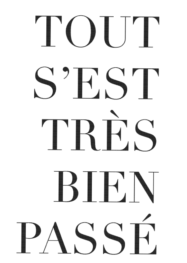 Tout s'est très bien passé