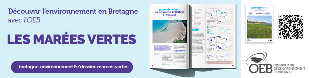 Kit com : les marées vertes en Bretagne 2025