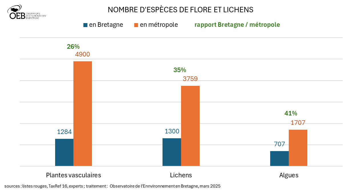 nombre d'espèces de flore et lichens en Bretagne