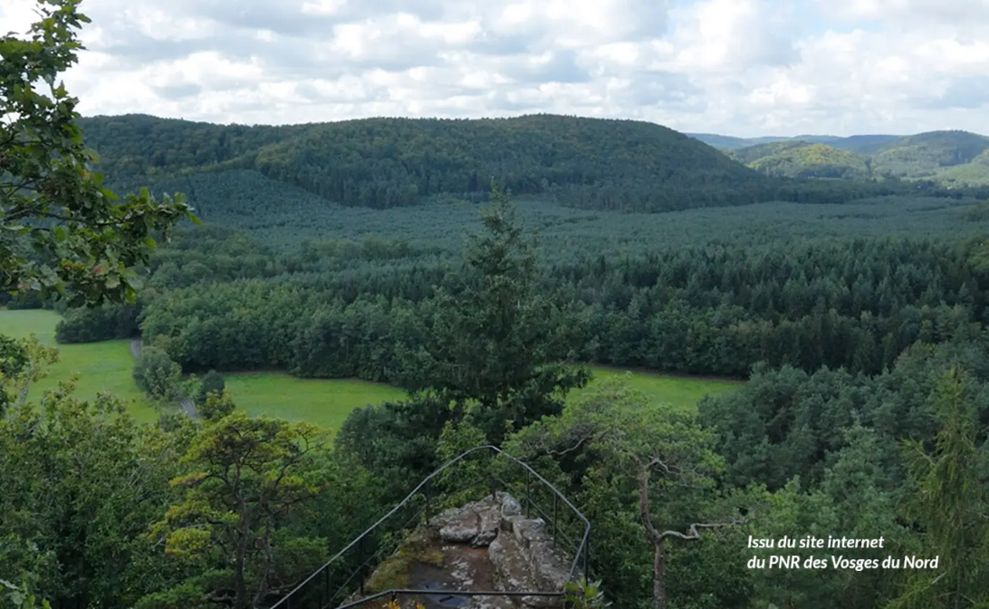 PNR des Vosges du Nord