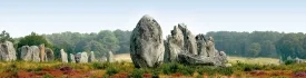 Menhirs au milieu de la lande en bordure d'une forêt en Bretagne