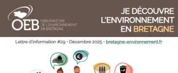 Lettre d'information #29 • Décembre 2025