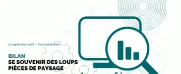 logo Café DATA