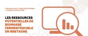 logo Café DATA