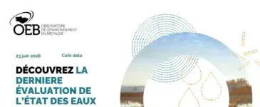logo Café DATA