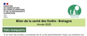 couv Bilan de la santé des forêts en Bretagne 2025