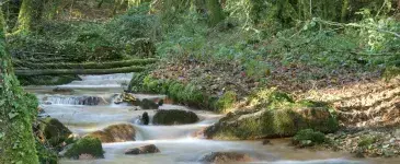 Cours d'eau