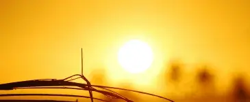 Soleil chaleur
