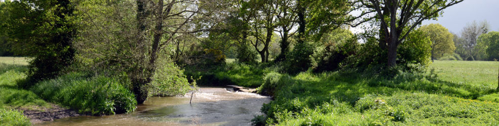 Photo rivière Evron à Pommeret