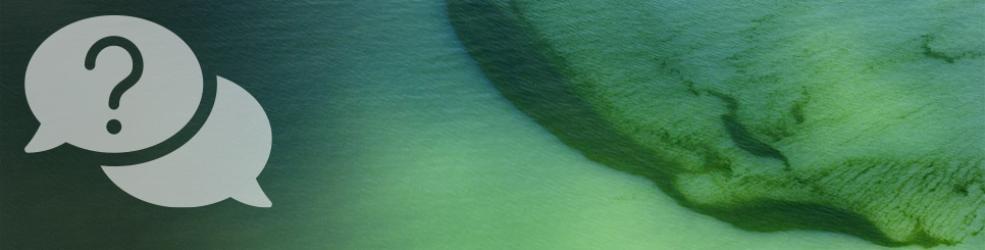 Photo Rideau d'algues vertes dans les eaux littorales