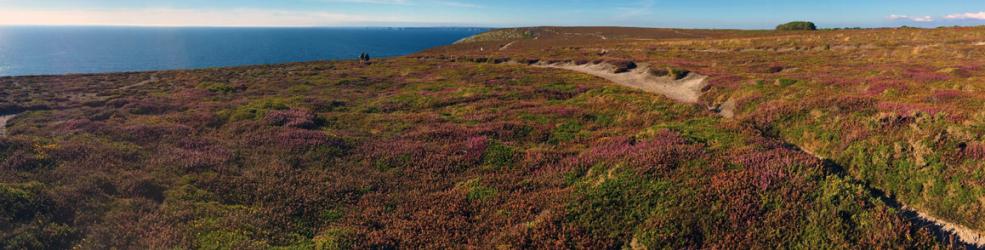 Photo Les landes de la pointe de Pen-Hir