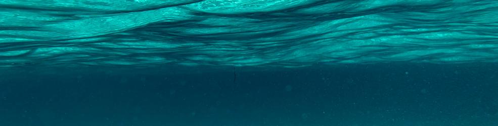 Surface de la mer