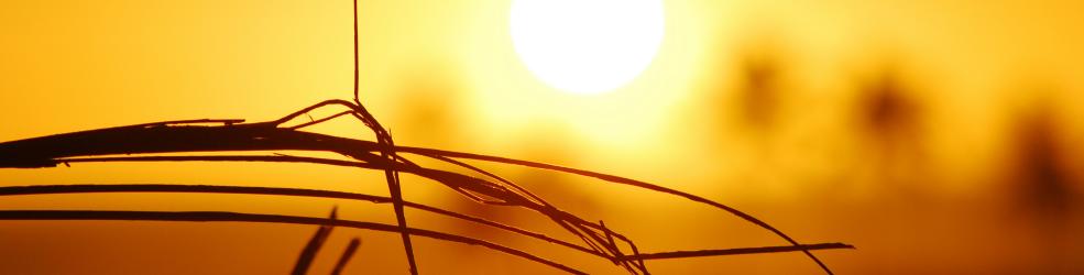 Soleil chaleur