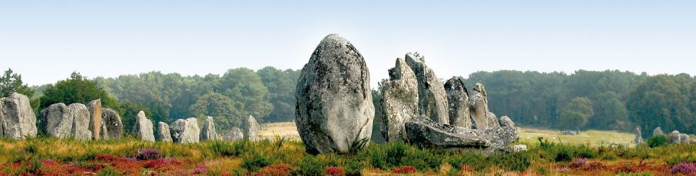 Menhirs au milieu de la lande en bordure d'une forêt en Bretagne