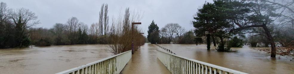 Inondation des prairies Saint-Martin à Rennes en janvier 2025