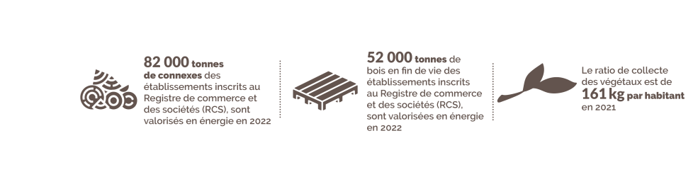 Connexes de scierie, bois en fin de vie et bois de végétaux