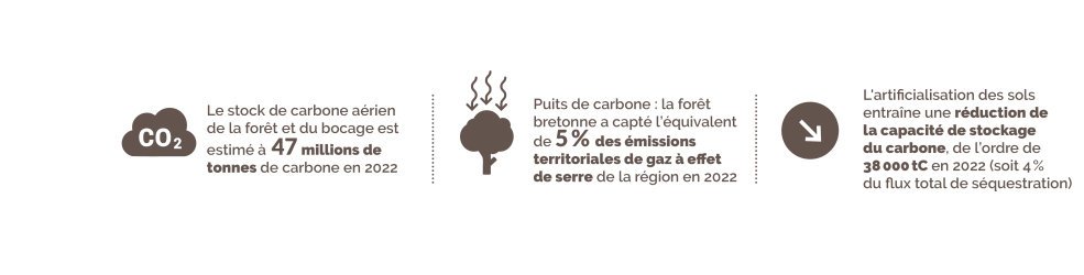 Enjeux environnementaux du bois et stockage de carbone