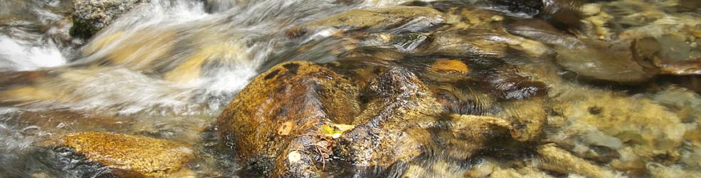 Photo Cours d'eau
