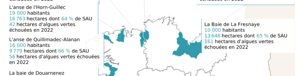 Aperçu du tableau de bord interactif