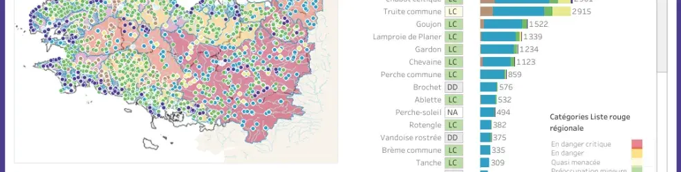 Aperçu du tableau de bord interactif