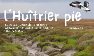 couv L'huîtrier pie n°63 - Les près salés