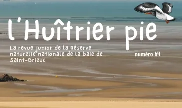 couv L'huîtrier pie n°64 - Le sable de la Baie