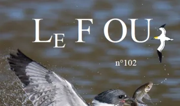 couv Le Fou - n°102