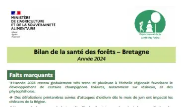 couv Bilan de la santé des forêts en Bretagne 2024