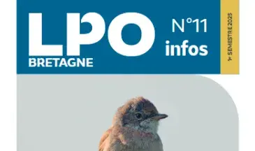 couv LPO Info Bretagne n°11