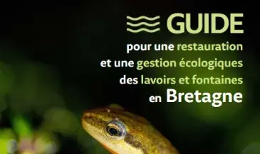 couv Guide pour une restauration et une gestion écologiques des lavoirs et fontaines en Bretagne. Édition 2025
