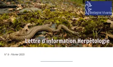 couv Lettre d'information herpétologie n°9