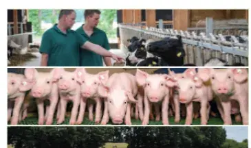 couv ABC Agriculture et Agroalimentaire de Bretagne en Clair - les chiffres - édition 2025