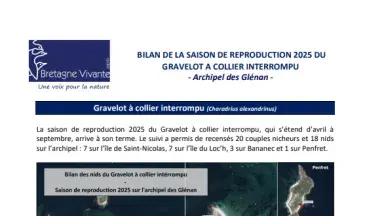 couv Bilan de la saison de reproduction 2025 du Gravelot à collier interrompu sur l'Archipel des Glénan
