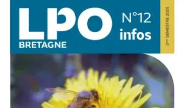 couv LPO Info Bretagne n°12
