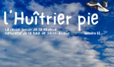 couv L'huîtrier pie n°61 - Le changement climatique