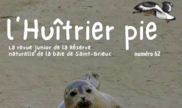 couv L'huîtrier pie n°61 - Le phoque veau-marin