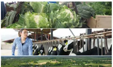 couv ABC Agriculture et Agroalimentaire de Bretagne en Clair - les chiffres - édition 2026